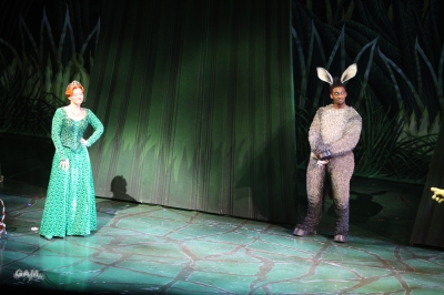 Kimberley_as_Princess_Fiona_in_Shrek_05_10_11_286829.jpg