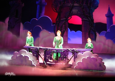 Kimberley_as_Princess_Fiona_in_Shrek_05_10_11_287129.jpg