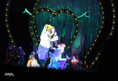 Kimberley_as_Princess_Fiona_in_Shrek_05_10_11_287229.jpg