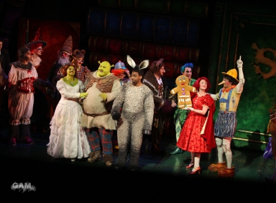 Kimberley_as_Princess_Fiona_in_Shrek_05_10_11_288229.jpg