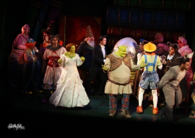 Kimberley_as_Princess_Fiona_in_Shrek_05_10_11_288329.jpg