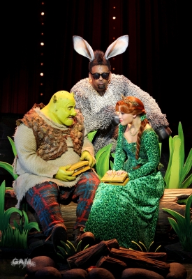 Kimberley_as_Princess_Fiona_in_Shrek_05_10_11_288729.jpg