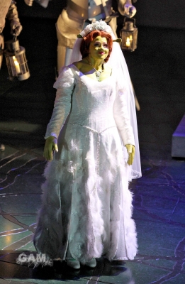 Kimberley_as_Princess_Fiona_in_Shrek_05_10_11_289229.jpg