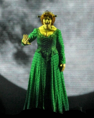 Kimberley_as_Princess_Fiona_in_Shrek_05_10_11_28929.jpg