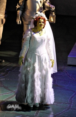 Kimberley_as_Princess_Fiona_in_Shrek_05_10_11_289929.jpg