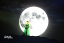 Kimberley_as_Princess_Fiona_in_Shrek_05_10_11_285529.jpg