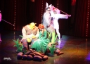 Kimberley_as_Princess_Fiona_in_Shrek_05_10_11_285629.jpg