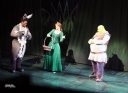 Kimberley_as_Princess_Fiona_in_Shrek_05_10_11_286229.jpg