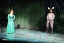 Kimberley_as_Princess_Fiona_in_Shrek_05_10_11_286929.jpg