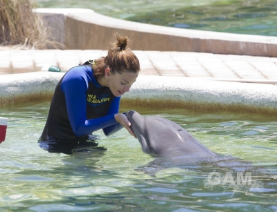 Sarah_Harding_at_Dolphin_Harbor_Miami_Seaquarium_17_06_11_28629.jpg