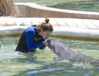 Sarah_Harding_at_Dolphin_Harbor_Miami_Seaquarium_17_06_11_28729.jpg