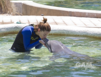 Sarah_Harding_at_Dolphin_Harbor_Miami_Seaquarium_17_06_11_28829.jpg
