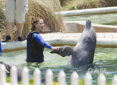 Sarah_Harding_at_Dolphin_Harbor_Miami_Seaquarium_17_06_11_28929.jpg