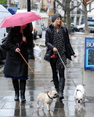 Sarah_Harding_walking_her_dog_in_Primrose_19_12_11_281129.jpg