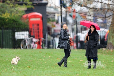 Sarah_Harding_walking_her_dog_in_Primrose_19_12_11_282029.jpg