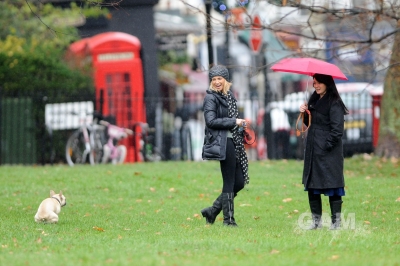 Sarah_Harding_walking_her_dog_in_Primrose_19_12_11_282129.jpg