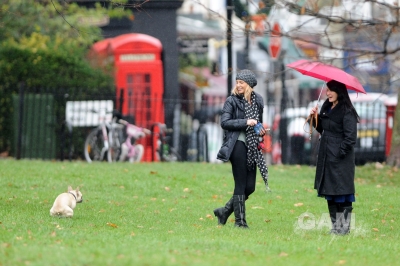 Sarah_Harding_walking_her_dog_in_Primrose_19_12_11_282229.jpg
