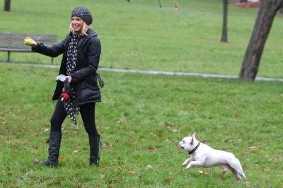 Sarah_Harding_walking_her_dog_in_Primrose_19_12_11_28329.jpg