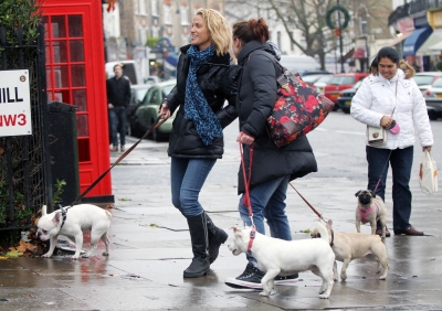 Sarah_Harding_walking_her_dogs_in_Primrose_21_12_11_282329.JPG