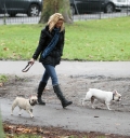 Sarah_Harding_walking_her_dogs_in_Primrose_21_12_11_281029.JPG