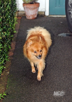 Nadine_leaving_her_house_and_heading_to_an_office_26_08_10_282429.jpg