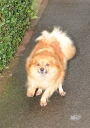 Nadine_leaving_her_house_and_heading_to_an_office_26_08_10_281229.jpg