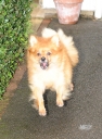 Nadine_leaving_her_house_and_heading_to_an_office_26_08_10_281329.jpg