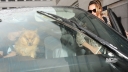 Nadine_leaving_her_house_and_heading_to_an_office_26_08_10_28729.jpg