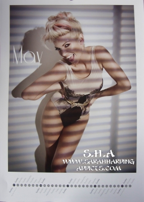 Sarah_Harding_-_Official_Calendar_2011_281229.JPG