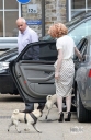 Nicola_Roberts_takes_her_pugs_out_for_a_walk_05_08_10_281529.jpg