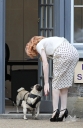 Nicola_Roberts_takes_her_pugs_out_for_a_walk_05_08_10_281629.jpg