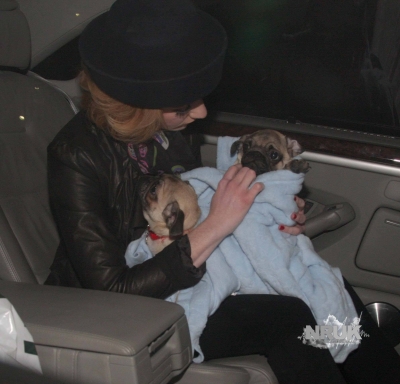 Nicola_Roberts_arriving_at_the_Mayfair_hotel_14_01_10_28829.jpg