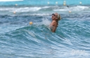 Sarah_Harding_on_the_beach_in_the_Caribbean_03_02_10_28129.jpg