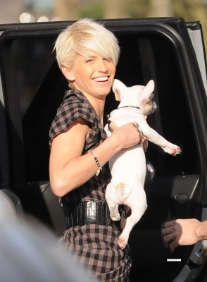 Sarah_and_Tom_walking_their_new_dog_110309_28329.jpg