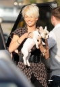 Sarah_and_Tom_walking_their_new_dog_110309_28229.jpg