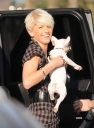 Sarah_and_Tom_walking_their_new_dog_110309_28329.jpg