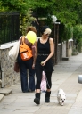 Sarah_Harding_walking_her_dog_120609_28229.jpg