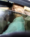 Nadine2C_Sarah_and_Nicola_arrive_at_a_London_hotel_06_04_12_281929.jpg