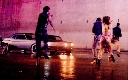 7_28729.gif