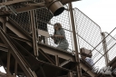 Cheryl_Cole_out_in_Paris_13_06_12_282929.jpg
