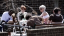 Girls_Aloud_taking_a_break_from_tour_rehearsals_01_05_07_28129.jpg