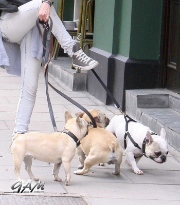 Sarah_Harding_out_and_about_in_London_with_her_dogs_17_07_12_284029.jpg