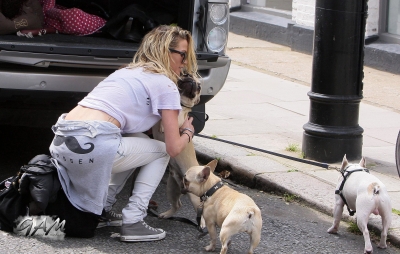 Sarah_Harding_out_and_about_in_London_with_her_dogs_17_07_12_284729.jpg