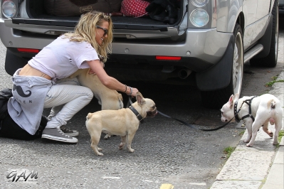 Sarah_Harding_out_and_about_in_London_with_her_dogs_17_07_12_288429.jpg