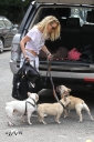 Sarah_Harding_out_and_about_in_London_with_her_dogs_17_07_12_281529.jpg