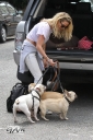 Sarah_Harding_out_and_about_in_London_with_her_dogs_17_07_12_281629.jpg