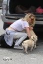 Sarah_Harding_out_and_about_in_London_with_her_dogs_17_07_12_282029.jpg