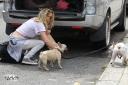 Sarah_Harding_out_and_about_in_London_with_her_dogs_17_07_12_282129.jpg