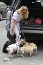 Sarah_Harding_out_and_about_in_London_with_her_dogs_17_07_12_282329.jpg