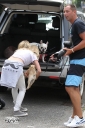 Sarah_Harding_out_and_about_in_London_with_her_dogs_17_07_12_282429.jpg